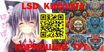 мяу мяу мука Малоярославец