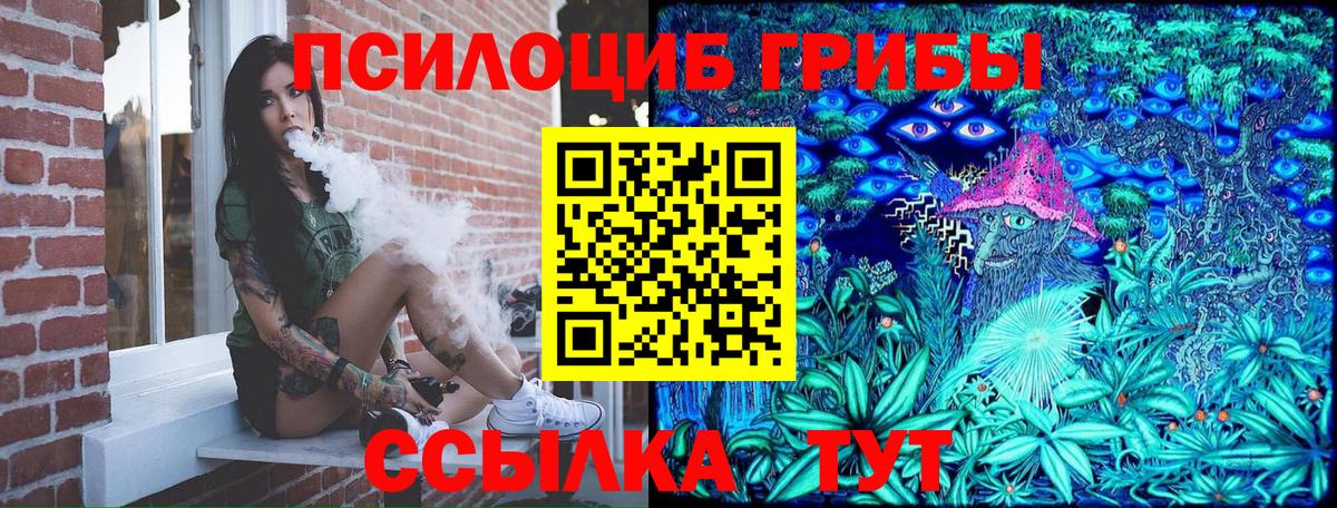 что такое наркотик  Вход с VPN  Воронеж  Псилоцибиновые грибы MAGIC MUSHROOMS 